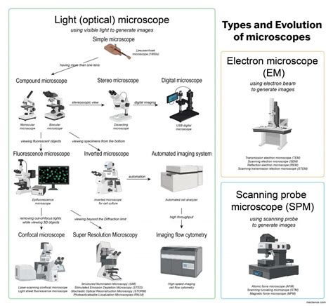 Different Types of Microscopes Overview .